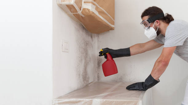 Professional Hvac And Air Duct Mold Remediation technician working in Olanta, PA